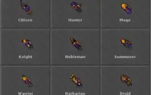 Royal Paladin 356 (Quelibra) - Open PvP - Charlover