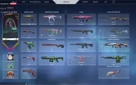 conta valorant  (varias skins)  mais informaçoes pv