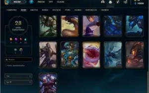 Conta ouro 2 com 28 skins e 53 champs ( MAIN ADC )