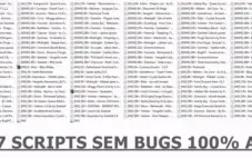 Scripts Todas as Vocações (TODOS PAGOS) para Windbot