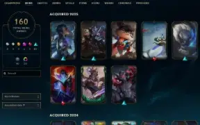 Conta da Riot, Skin e elo no Valorant e League of Legends