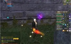 *MAGO  SACER   WR 5.0    SERVER PHOENIX*