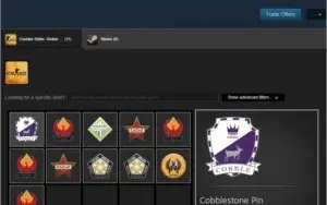 Conta Steam com 11 pins no csgo