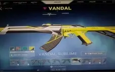 Conta Diamante 1, Varias skins (mais de 500 reais)