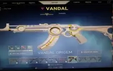 Conta Diamante 1, Varias skins (mais de 500 reais)
