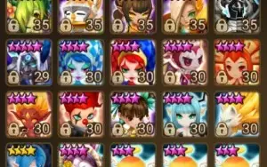 conta sw com nat 5 ld grogen e outros nat 5 tops
