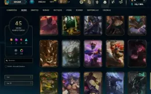Unranked com 65 Champs e 45 Skins