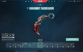 CONTA VALORANT 384 GASTOS + LOL 310 GASTOS