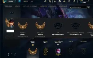 Ouro 2 com 35 Champs e 13 Skins + 1 Fragmento