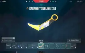 Conta Valorant Várias Skins