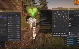 CONTA BLACK DESERT ONLINE 603GS lvl 62 COM EMAIL