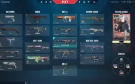 Conta Valorant Imortal Varias Skins Acess Full