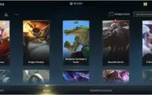 Mestre + 61% de win + 9 skins