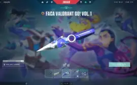 Conta Valorant + League of Legends