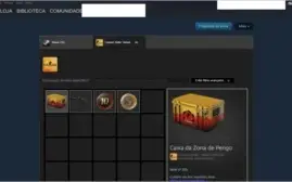 CONTA 14 ANOS, LVL 16 GC, BROCHES 10 E 5 ANOS - COM PRIME