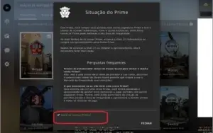 CONTA 14 ANOS, LVL 16 GC, BROCHES 10 E 5 ANOS - COM PRIME