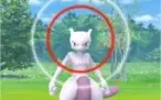 CAPTURA MEWTWO - CHANCE VIR SHINY