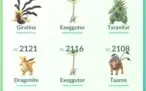 Conta lvl 29 com pokémon sortudo e podendo vir shiny