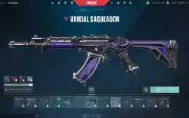 Conta valorant +400 gasto em skins + DADOS DE RECC