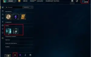 Conta UNRANKED | NV30 | 2 CAMPEÕES | 40750 ESSÊNCIAS