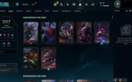 Conta Lol 207 skins all champs lvl 502