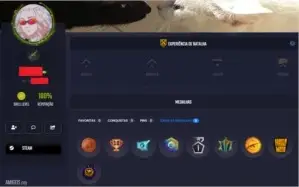 Conta Xerife, 3 Medalhas, Level 46 Steam, Level 16 GC