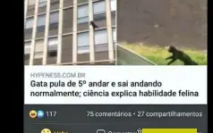 Página do Twitter - Alto Engajamento e Seguidores