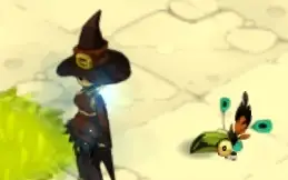 Trajes Raros Wakfu