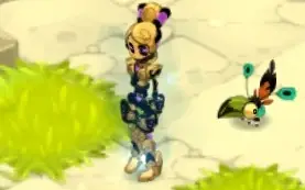 Trajes Raros Wakfu