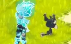 Trajes Raros Wakfu