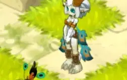 Trajes Raros Wakfu