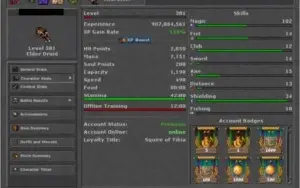 Elder Druid 381 + Elite Knight 328