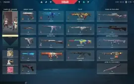 Conta Valorant com skins de todas as armas (Full Acess)
