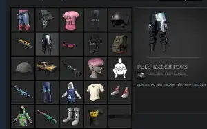 Conta Pubg Plus Ativo Lv500, Varias Skins Raras, Pgc, Pgi...
