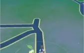 Conta Pokemon Go lv 32 com pkmon legado