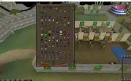 Oldschool Runescape Skiller lvl 3 99 hunter