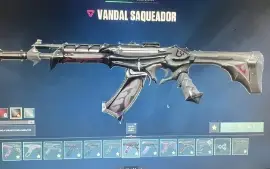 Conta Valorant Full Acesso - Mais de R$2000 gastos na conta