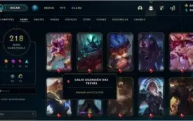 Conta LoL 218 SKINS!  todos os Champs-- gasto 1700R$lvl270