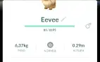 Eevees normal de todos os safaris