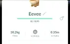 Eevees normal de todos os safaris