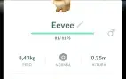 Eevees normal de todos os safaris