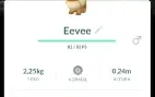 Eevees normal de todos os safaris
