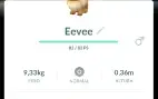 Eevees normal de todos os safaris