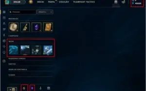 CONTA UNRANKED | NV30 | 2 CAMPEÕES | 45030 ESSÊNCIAS