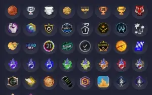 conta com 7k horas lv 20 gc 10 faceit