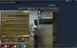 steam csgo Prime com skins