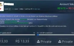 Conta Steam 6 Anos 229 jogos Level 40