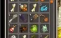 SADIDA 183 + IOP 132 FULL SCROLLS AMBOS