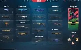 Conta De Valorant Lvl 105 Com Skins ( Para Sair Rapido )