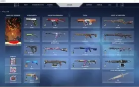 Conta valorant +1000 reais investidos